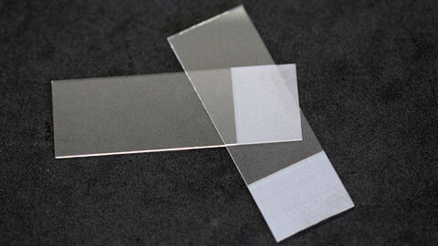 Objektträger Amphibienproben Objektträger Amphibienproben