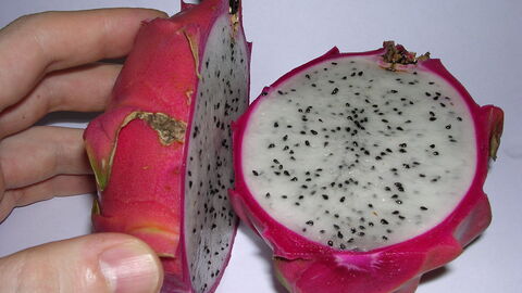 Drachenfrucht Drachenfrucht