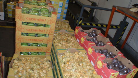 Obstsendung aus Kolumbien