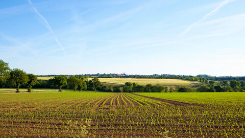 Wiese und Acker Wiese und Acker