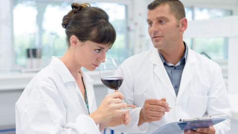 Weinkontrolleure in Laborkitteln führen eine sensorische Beurteilung eines Weins durch 