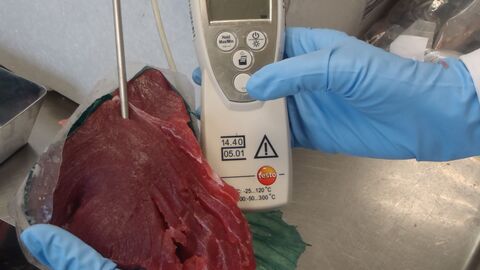 Temperaturmessung bei Thunfischstück Temperaturmessung bei Thunfischstück