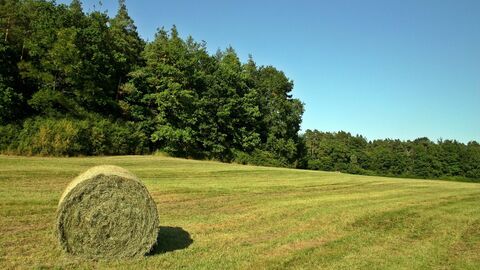 Heuballen auf Wiese