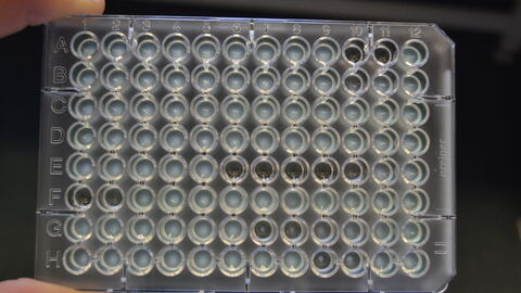 in-vitro-Resistenzprüfung  Probenträger in-vitro-Resistenzprüfung