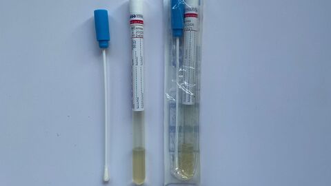 Einsendung von Amphibienproben Ein Feuchttupfer Set