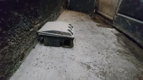 Eine stark verschmutzte Stallumgebung mit einer Falle für Schadnager