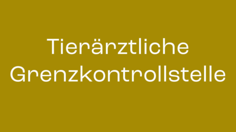 Die Wörter Tierärztliche Grenzkontrollstelle