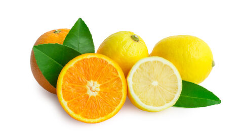 Zitronen und Orangen zum Teil aufgeschnitten 