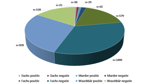 Verteilung der positiven und negativen Staupeergebnisse der Jahre 2014-2022 auf die verschiedenen Wildtierarten Ein Kreisdiagram zeigt die Tierartenverteilung Staupe Untersuchungen 2014-2022. Nähere Informationen erhalten sie unter vetabt@lhl.hessen.de