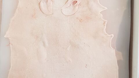 Maushaut in einer weißen Kunststoffverpackung