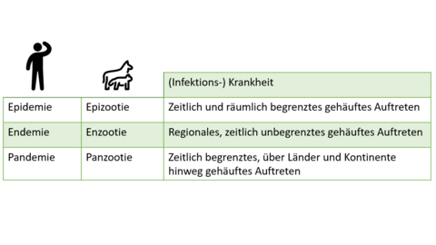 Definitionen von Seuchen bei Mensch und Tier hinsichtlich ihrer zeitlichen und räumlichen Ausdehnung. Mehr Infos untervetabt@lhl.hessen.de