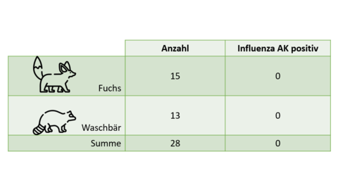Neues zur aviären Influenza von der Epizootie zur Enzootie/Panzootie