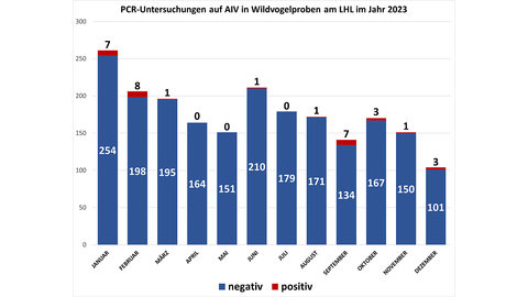 PCR-Untersuchungen auf AIV in Wildvogelproben am LHL im Jahr 2023. Mehr Infos untervetabt@lhl.hessen.de