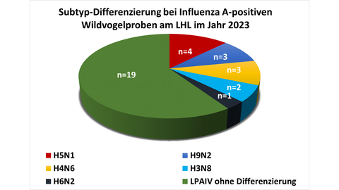 Subtyp-Differenzierung bei Influenza A-positiven Wildvogelproben am LHL im Jahr 2023. Mehr Infos untervetabt@lhl.hessen.de