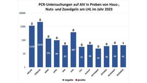 Anzahl der Realtime-RT-PCR-Untersuchungen zum Nachweis von Influenza A-Virus-Genom in Proben von Haus- Nutz- und Zoovögeln am LHL im Jahr 2023
