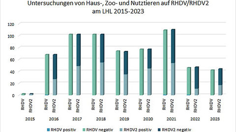 RT-PCR Untersuchungen zum Nachweis von klassischem RHDV und RHDV-2 an Proben von Haus-, Nutz- und Zootieren am LHL in den Jahren 2015-2023.  RT-PCR Untersuchungen zum Nachweis von klassischem RHDV und RHDV-2 an Proben von Haus-, Nutz- und Zootieren am LHL in den Jahren 2015-2023. Kontakt: vetabt@lhl.hessen.de