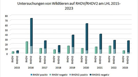 RT-PCR Untersuchungen zum Nachweis von klassischem RHDV und RHDV-2 an Proben von Wildtieren am LHL in den Jahren 2015-2023.  RT-PCR Untersuchungen zum Nachweis von klassischem RHDV und RHDV-2 an Proben von Wildtieren am LHL in den Jahren 2015-2023. Kontakt: vetabt@lhl.hessen.de
