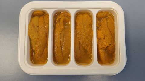 Seeigelrogen in geöffneter Transportverpackung