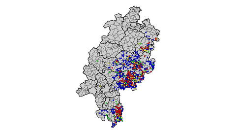 Eine Karte von Hessen zeigt die Fundorte von positiv getesteten Wildschweinen. Für nähere Informationen wenden Sie sich bitte an vetabt@lhl.hessen.de