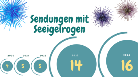 Die Grafik zeigt die zunehmende Sendungszahl von Einfuhren: 2020 mit 4, 2021 und 2022 mit jeweils 5, 2023 mit 14 und 2024 mit 16 Einfuhren. Die Grafik ist mir Seeigelbildern ausgeschmückt.