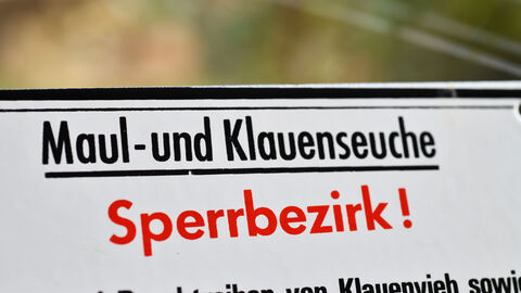 Ein Sperrbild mit der Aufschrift: Maul- und Klauenseuche Sperrbezirk