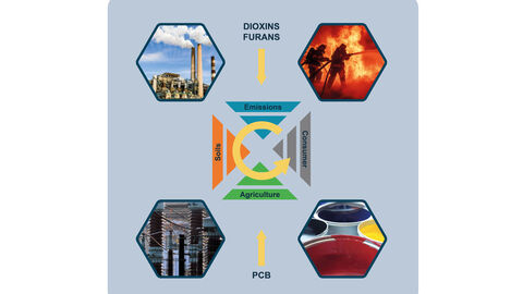 Ein in vitro Bioassay für den Nachweis von Dioxinen in Lebensmitteln und der routinemäßige Einsatz Vorwiegend frühere Kontaminationsquellen für Dioxine, Furane und dl-PCB: Emissionen, Konsum, Landwirtschaft, Böden
