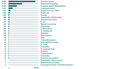  Verteilung der Mastitiserreger in Hessen im Jahr 2024