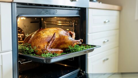 Ein gebackene Gans liegt auf einem Backbleck welches etwas aus dem Herd ragt. Um die Gand herum sind Kräuter auf dem Backblech verteilt