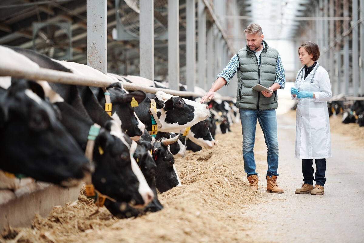 Veterinärmedizin | Hessisches Landeslabor