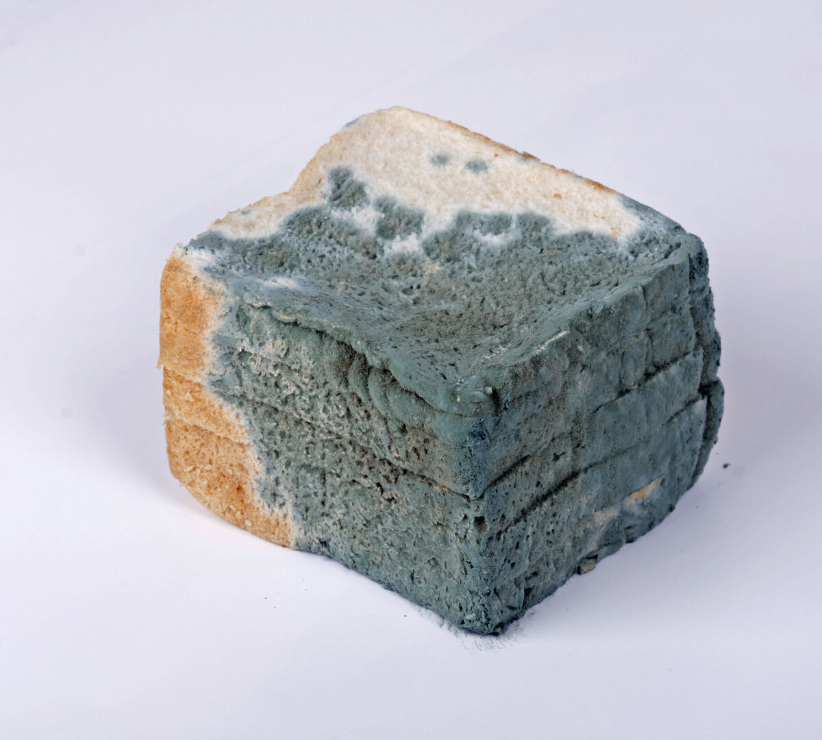 Mykotoxine Hessisches Landeslabor