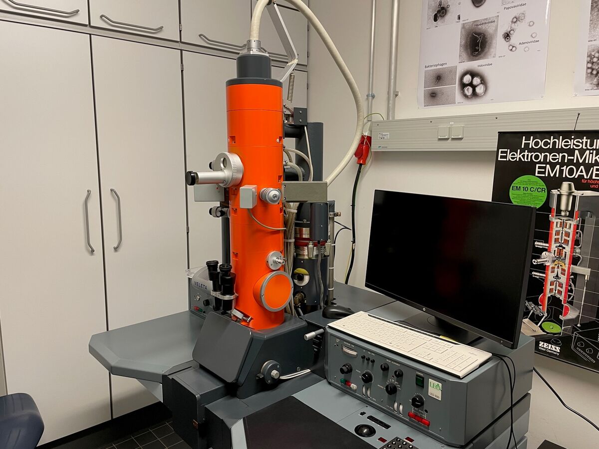 Elektronenmikroskopische Diagnostik Zur Aufklärung Von ...