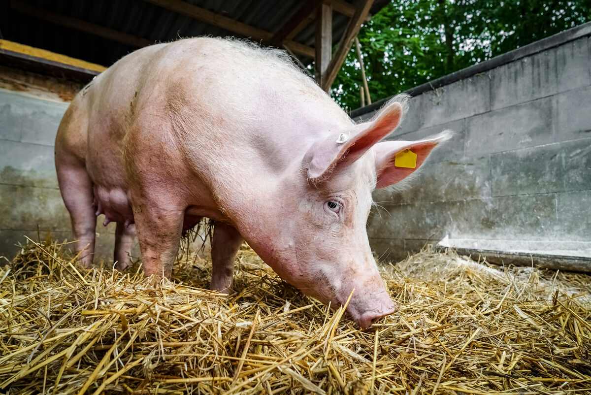 Jahresbericht / Berichtswesen | Hessisches Landeslabor