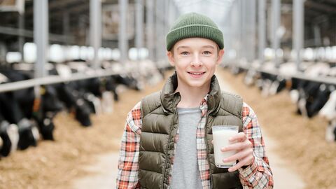 Junge steht in einem Stall im Futtergang und hält ein Glas Milch in der Hand