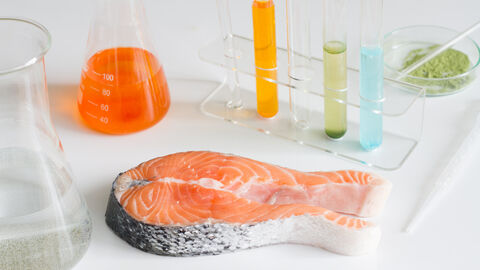 Fischuntersuchung im Labor