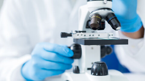 Blick auf Mikroskop. Von Person die es bedient, sieht man nur die blauen Laborhandschuhe und den weißen Kittel.