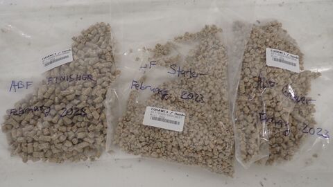 Drei Futtermittelproben zur Laboranalyse jeweils in einem Kunststoffbeutel verpackt