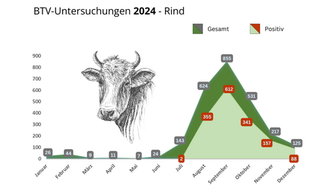 Darstellung der positiven Fälle von Blauzungen-Krankheit gegenüber der genommenen Probenanzahl. Detailinformationen zu den einzelnen Werten erhalten Sie unter pressestelle@lhl.hessen.de