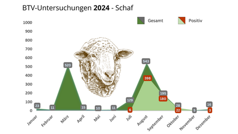 Darstellung der positiven Fälle von Blauzungen-Krankheit gegenüber der genommenen Probenanzahl. Detailinformationen zu den einzelnen Werten erhalten Sie unter pressestelle@lhl.hessen.de