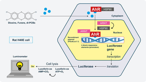 Bitte die Legende unter der Grafik beachten