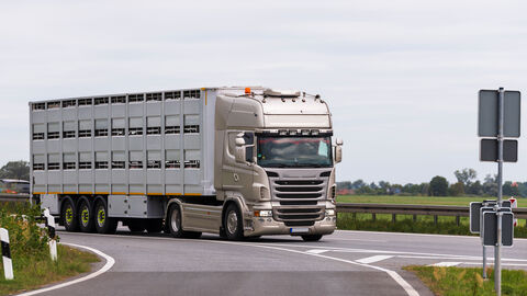 Ein Tiertransporter fährt an einer Autobahnabfahrt vorbei