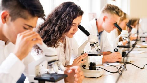 Ein Junge mit dunklen Haaren, ein Mäsdchen mit langen dunklen Haaren und ein blonder Junge tragen einen Laborkittel und sitzen neben einander an einem langen Tisch. Alle drei schauen durch ein Mikroskop.