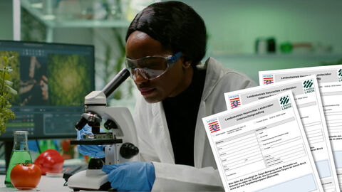 Laborantin mit blauen Handschuhen arbeitet an einem Mikroskop, im Hintergrund ein Bildschirm mit Pflanzenbild, daneben ein Tomate und ein Reagenzglas mit grüner Flüssigkeit sowie drei Untersuchungsaufträge